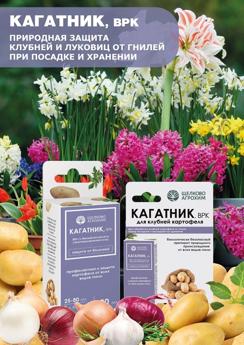 Обработка луковичных цветов