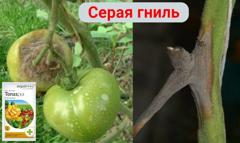 1.jpg 1.jpg